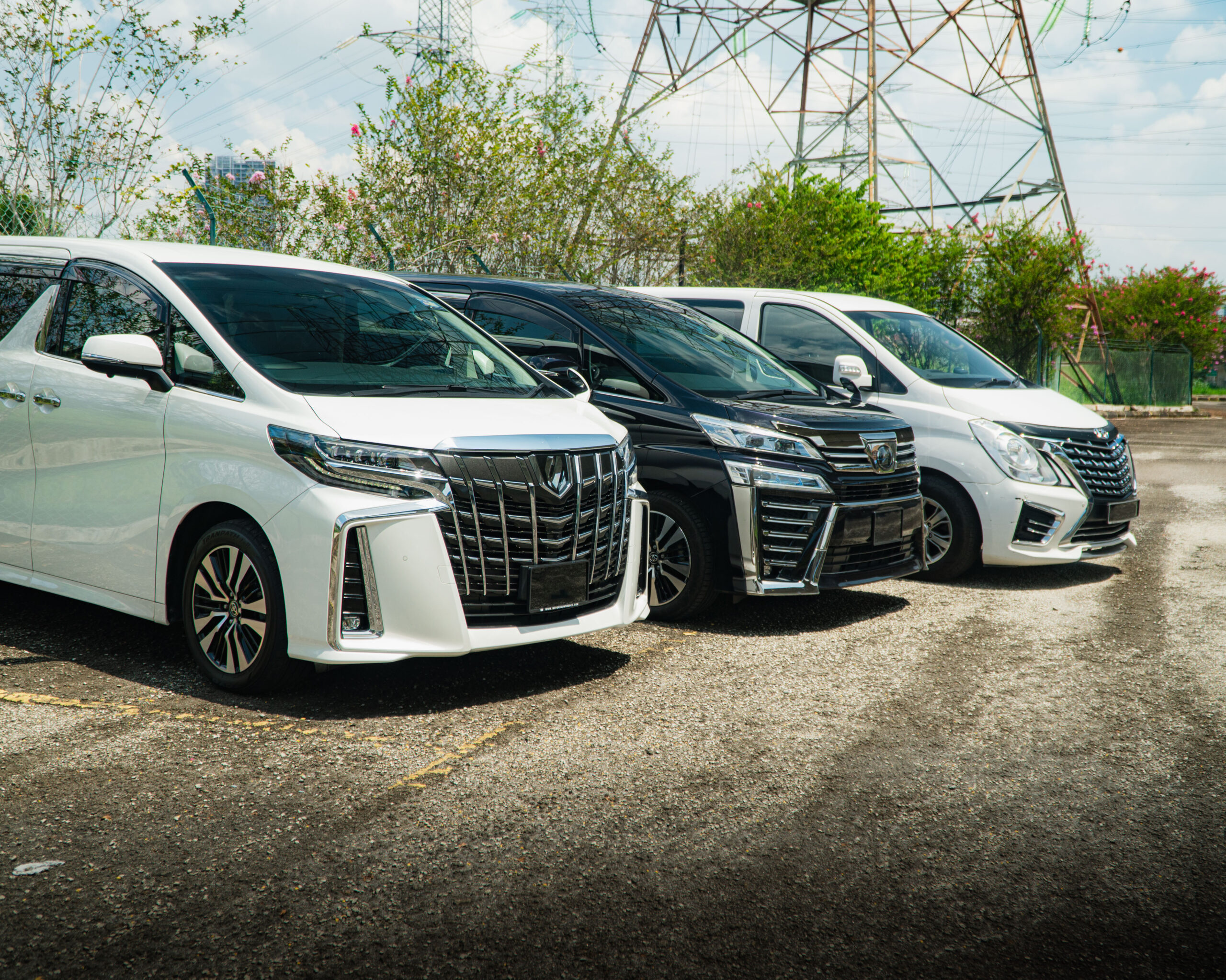 Alphard, Vellfire and Starex lining side by side